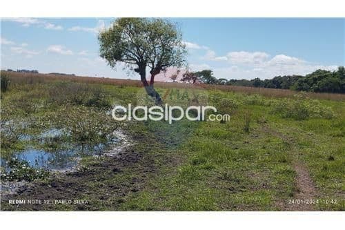 Campo de 270 has en ñeembucu