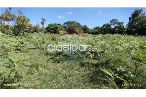 Campo de 270 has en ñeembucu, foto 4