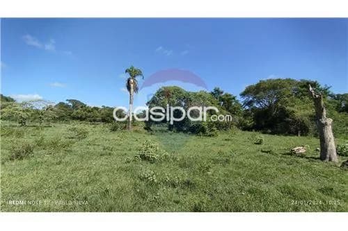 Campo de 270 has en ñeembucu, foto 5