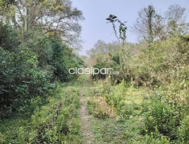 Terreno en Areguá - 10 Ha — foto 2