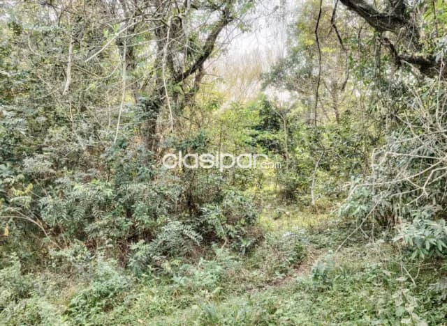 Terreno en Areguá - 10 Ha — foto 3