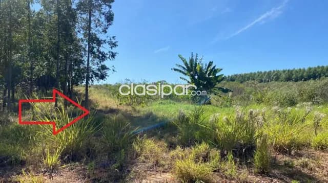 Terreno Rural en Corpus Christi sobre Ruta - 14 Ha — foto 3