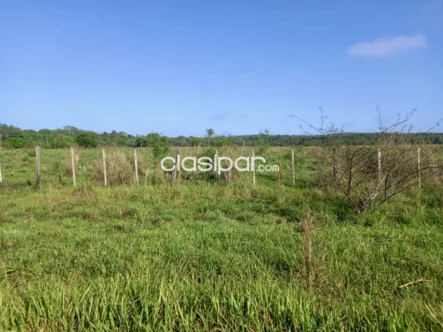 Terreno Rural en Eusebio Ayala - 62 Ha, foto 2