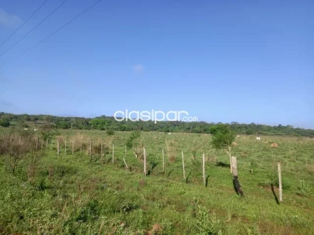 Terreno Rural en Eusebio Ayala - 62 Ha, foto 4