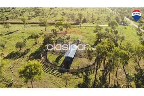 Estancia de 731 has en villa oliva, foto 2