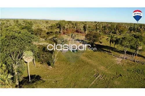 Estancia de 731 has en villa oliva, foto 4