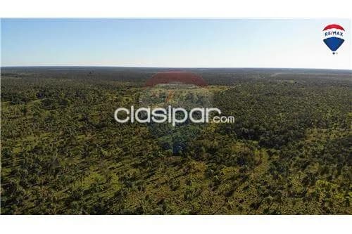 Estancia de 731 has en villa oliva, foto 5