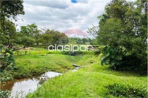 Campo de 87 has en itapua/ stma Trinidad, foto 3