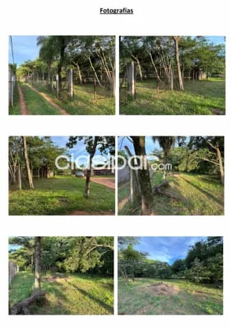 Terreno 1555m2 en Luque, foto 2