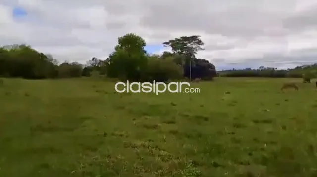 Terreno Rural en Carmen del Paraná - 16 Ha, foto 3