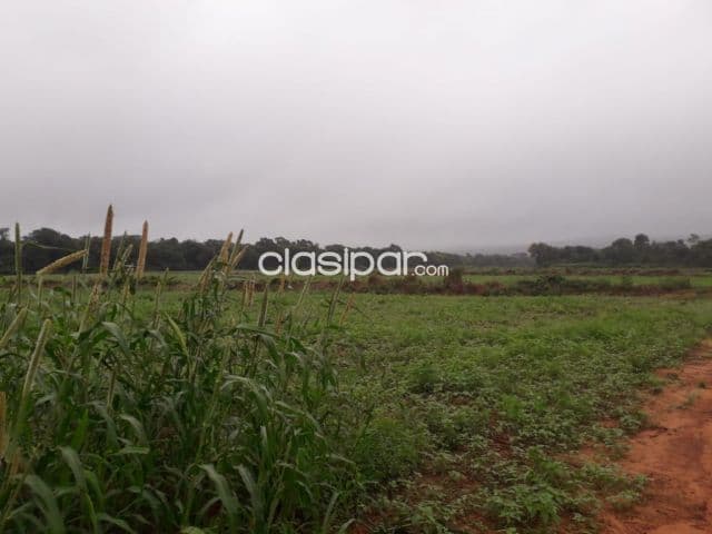 Campo Agrícola/Ganadero Mecanizado en Yasy Cañy sobre Ruta - 50 Ha