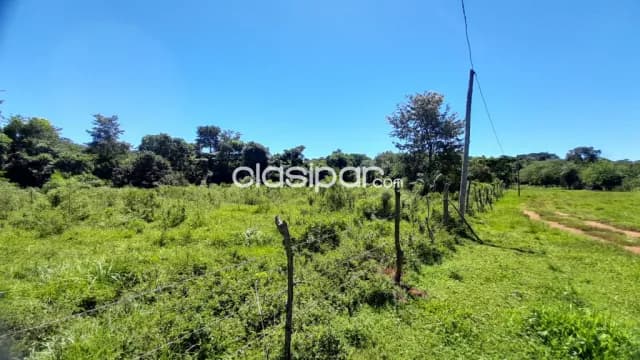 Terreno Rural en Encarnación cos costas al Río Paraná - 1 Ha — foto 4