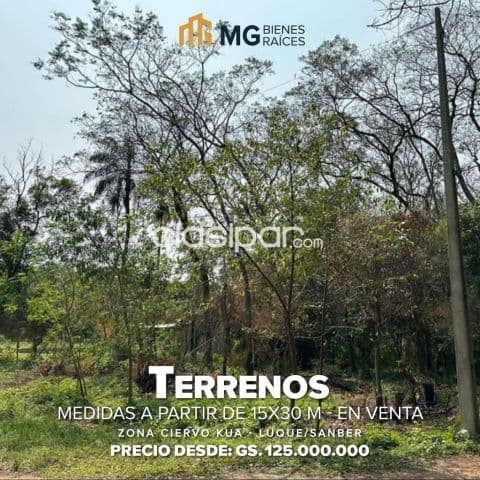 Hermosos terrenos en san ber zona ciervo kua a 500 mts de la ruta Luque san ber