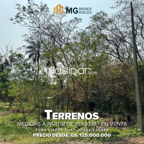 Hermosos terrenos en san ber zona ciervo kua a 500 mts de la ruta Luque san ber, foto 2