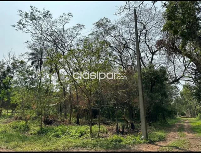Hermosos terrenos en san ber zona ciervo kua a 500 mts de la ruta Luque san ber, foto 4