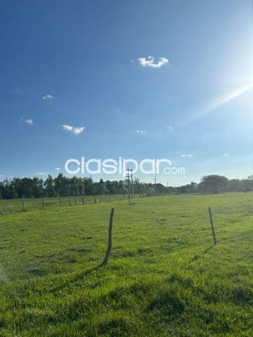 Importante propiedad sobre ruta en paraguarí, foto 1