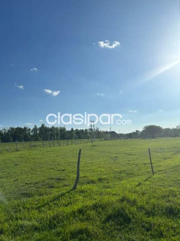 Importante propiedad sobre ruta en paraguarí, foto 2