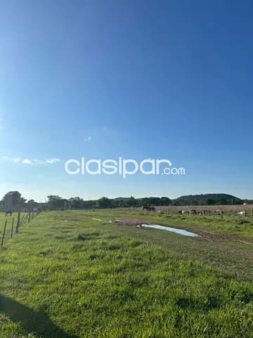 Importante propiedad sobre ruta en paraguarí, foto 3