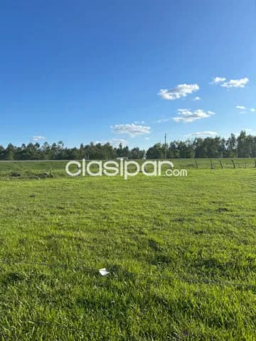 Importante propiedad sobre ruta en paraguarí, foto 5