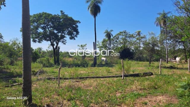 12 Hectareas en Altos — foto 1