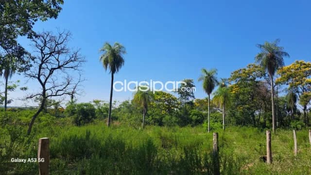 12 Hectareas en Altos — foto 3
