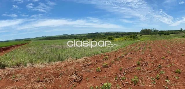 Terreno Rural Mecanizado en Edelira - 6 Ha — foto 5
