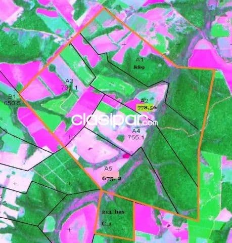 Juan e oleary, alto parana: 4.000 has, estancia modelo, en venta, 7.500 usd/ha — foto principal