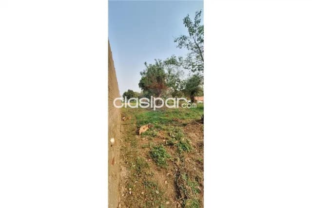Terreno - Venta - Paraguay Central Capiata — foto 4