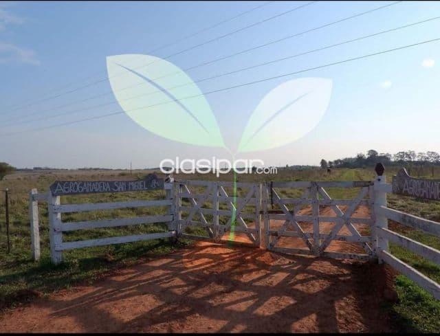 VENDE Hermosa Estancia en Quyquyhó, Paraguarí