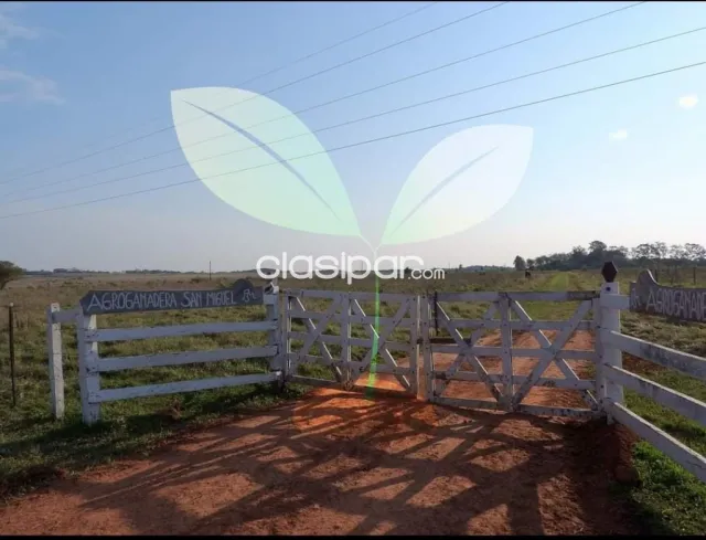 VENDE Hermosa Estancia en Quyquyhó, Paraguarí, foto 2