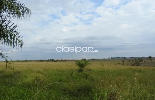 VENDE Hermosa Estancia en Quyquyhó, Paraguarí, foto 4