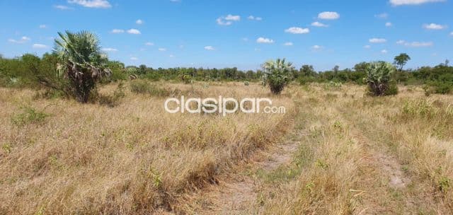 Campo de 1.328 Hectáreas en Zona Pechugon - CLCS6537028