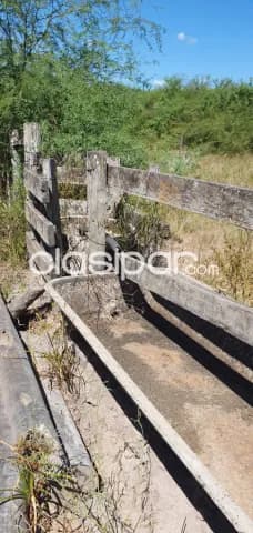Campo de 1.328 Hectáreas en Zona Pechugon - CLCS6537028 — foto 5