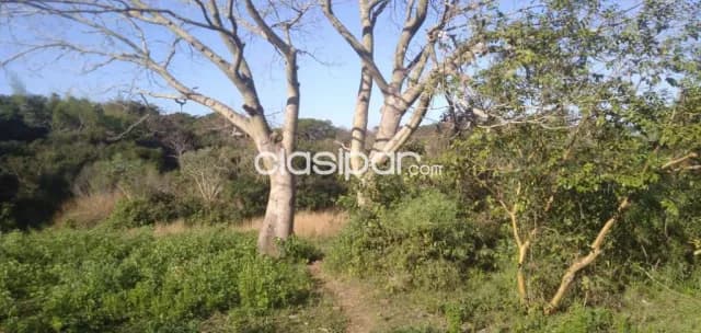 Hermosa propiedad de 3,75 has con arroyo en yaguaron — foto 2