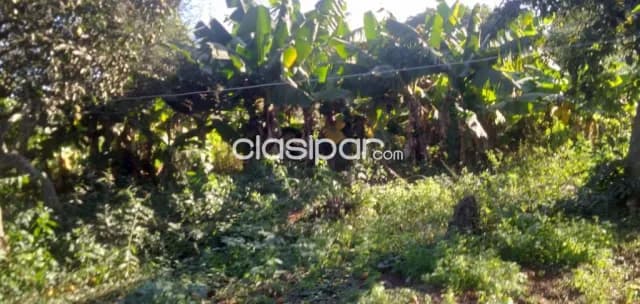 Hermosa propiedad de 3,75 has con arroyo en yaguaron — foto 4