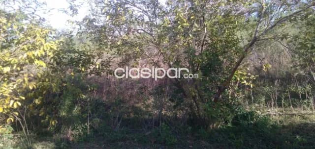 Hermosa propiedad de 3,75 has con arroyo en yaguaron — foto 5