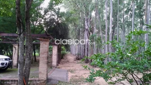 Granja en Pirayu - 26 Ha — foto 4