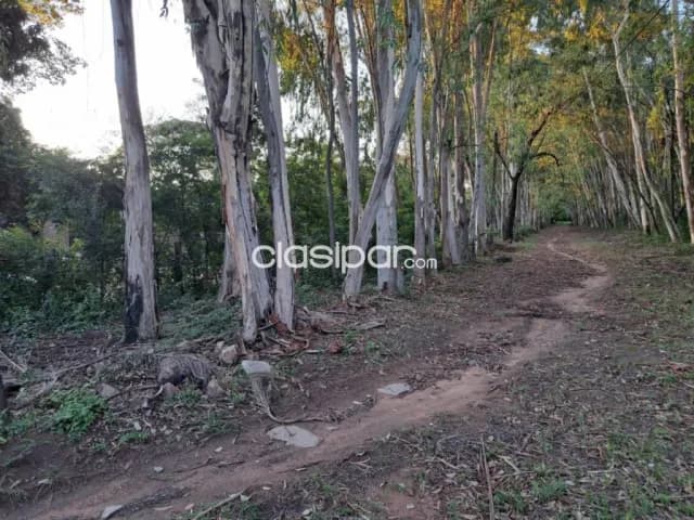 Terreno en San Bernardino camino a altos, foto 2