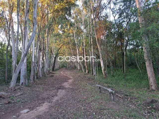 Terreno en San Bernardino camino a altos, foto 4