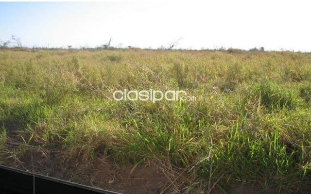 Estancia de 6.687 Hectáreas en Nanawa - CLCS6543935 — foto 1