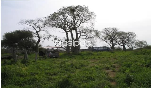 Estancia de 6.687 Hectáreas en Nanawa - CLCS6543935 — foto 5