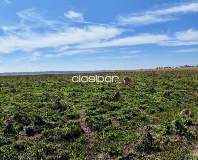 Campo Ganadero en San Jose de Los Arroyos - 280 Ha, foto 2