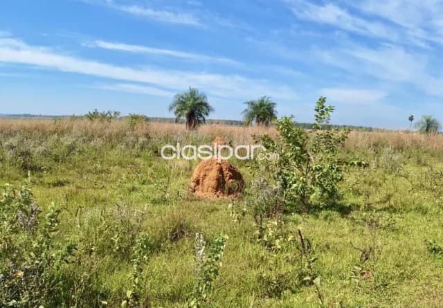 Campo Ganadero en San Jose de Los Arroyos - 280 Ha, foto 4