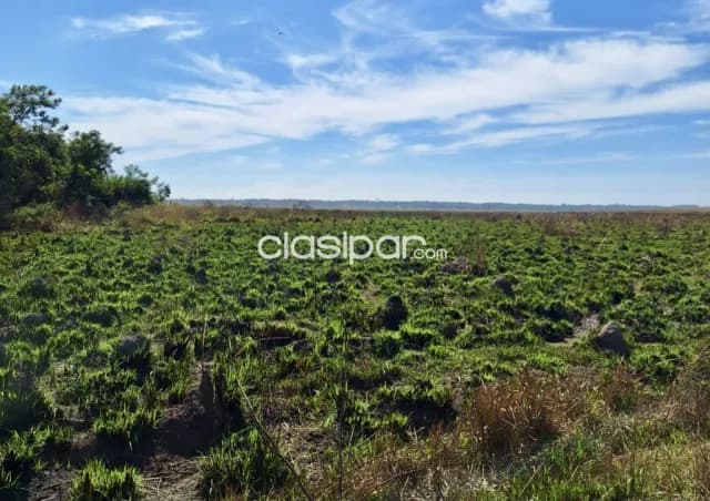 Campo Ganadero en San Jose de Los Arroyos - 280 Ha, foto 5