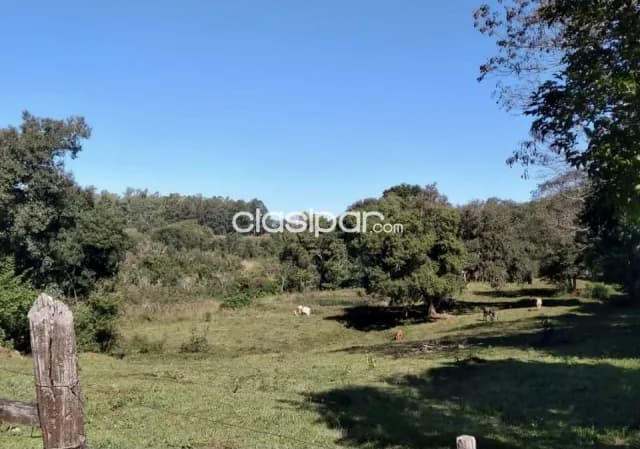 Terreno Rural en Encarnación sobre Ruta - 10 Ha — foto 5
