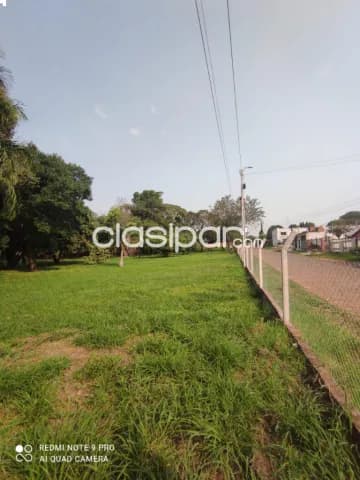 Terrenos en venta sobre Avda. Brítez Borges - Laurelty - Luque — foto 3