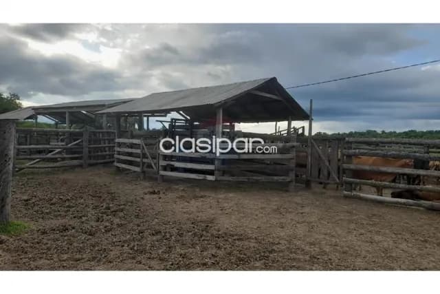 Campo en pozo colorado chaco — foto 5