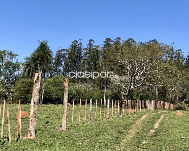 Campo Agrícola/Ganadero en 3 de Mayo - 44 Ha — foto principal
