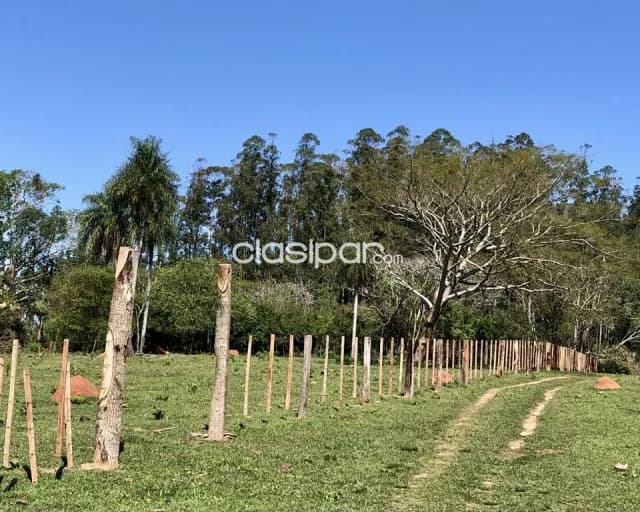 Campo Agrícola/Ganadero en 3 de Mayo - 44 Ha — foto 2