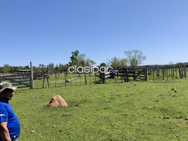 Campo Agrícola/Ganadero en 3 de Mayo - 44 Ha — foto 4